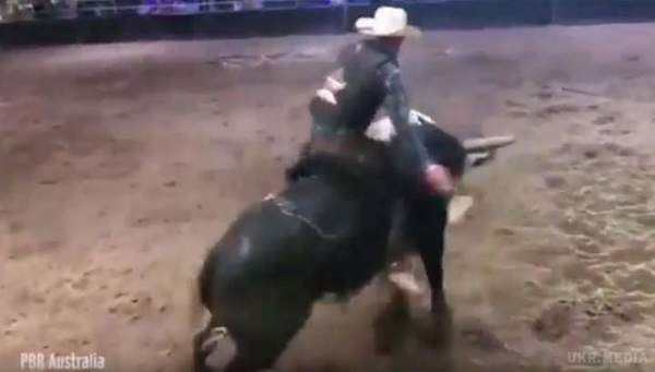 В Австралії бик затоптав наїзника (відео). Молоду людину доставили в лікарню, де його прооперували.