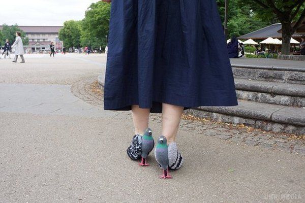 Модний тренд: мережу підкорили японські туфлі-голуби (фото). Жителі Японії в черговий раз здивували мережа незвичайним модним трендом – туфлі у вигляді голубів.