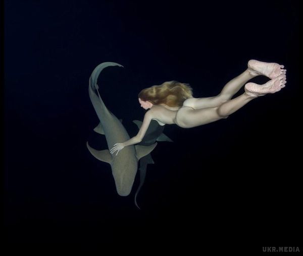 Модель влаштувала голий заплив з акулами, щоб показати, що їх не варто боятися (Фото). Модель Ірина Брітанова, яка на пару з фотографом Андрієм Некрасовим практикує підводні зйомки, влаштувала голий заплив в компанії акул.