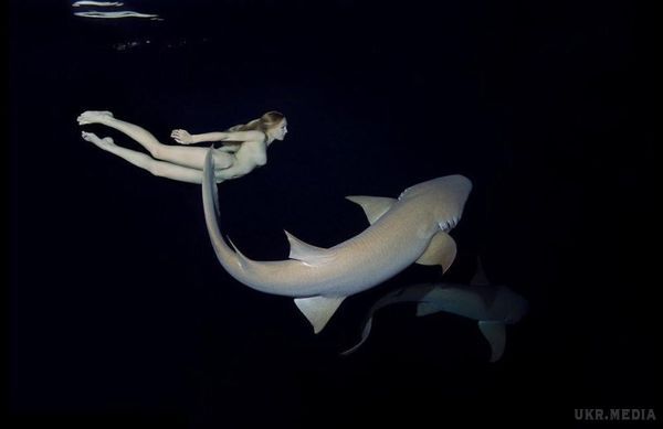 Модель влаштувала голий заплив з акулами, щоб показати, що їх не варто боятися (Фото). Модель Ірина Брітанова, яка на пару з фотографом Андрієм Некрасовим практикує підводні зйомки, влаштувала голий заплив в компанії акул.