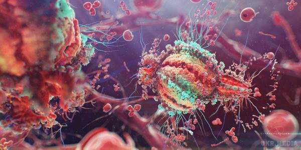 Вчені зробили неймовірне відкриття ВІЛ. Вчені навчилися знаходити клітини, в яких ховається ВІЛ.