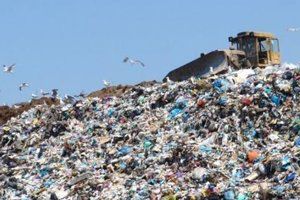 Півтори сотні тонн львівського сміття підкинули селу в Київській області. Хто відповість за тонни чужого сміття в київському селі, зараз з'ясовує поліція.