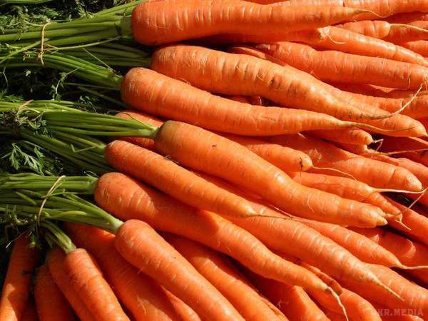 Звичайний сік відчутно знизить ризик захворювання раком. Американські дослідники стверджують, що морква надає на організм вплив цього антиракової кошти.
