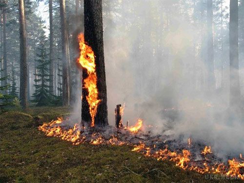 В Україні 4-6 червня високий рівень пожежної небезпеки - синоптики. Синоптики попереджають про високий рівень пожежної небезпеки в Україні 4-6 червня 2017 року.