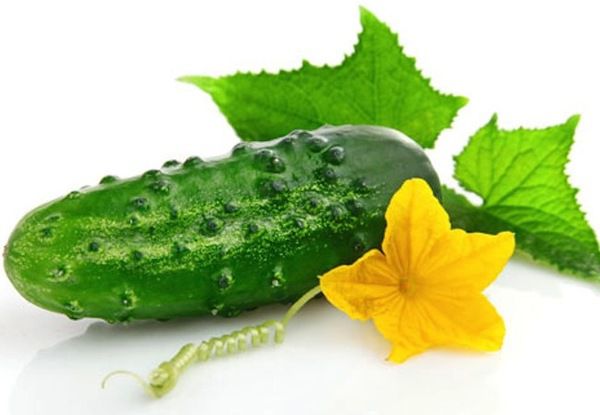 Дієтологи розповіли про користь огірків влітку. Найпопулярніший овоч літа!