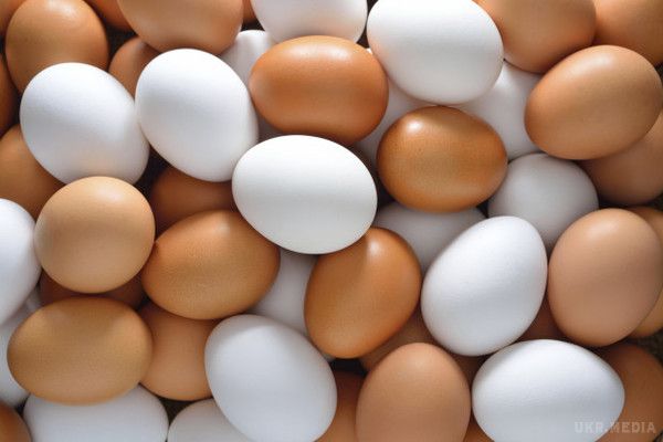 Названа нова корисна властивість яєць. Американські медики виявили нову корисну властивість курячих яєць — їх вживання сприяє зростанню дітей молодшого віку і зниження у них затримок розвитку.