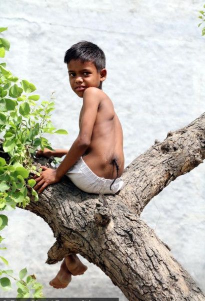 В Індії народився хлопчик з хвостом на спині. В Індії місцеві жителі обожнюють восьмирічного хлопчика, який народився з клоком волосся у вигляді хвоста на спині. Хлопчика вважають втіленням Ханумана - обез'яноподібного бога.