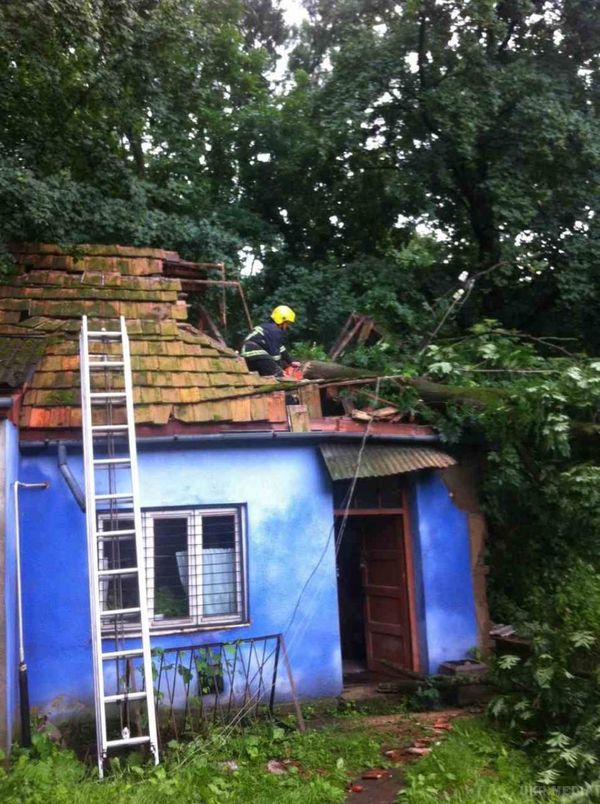 По Закарпаттю пронісся ураган - повалені дерева і затоплені будинки. На Закарпатті через негоду повалені дерева, підтоплені господарства та пошкоджено дахи на будинках.