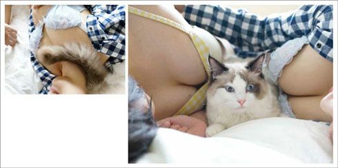 Японець випустив «лікувальний» фотоальбом про котиків та жіночі груди (фото). Автор зробив знімки жінок в одязі з глибокими декольте.