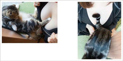 Японець випустив «лікувальний» фотоальбом про котиків та жіночі груди (фото). Автор зробив знімки жінок в одязі з глибокими декольте.