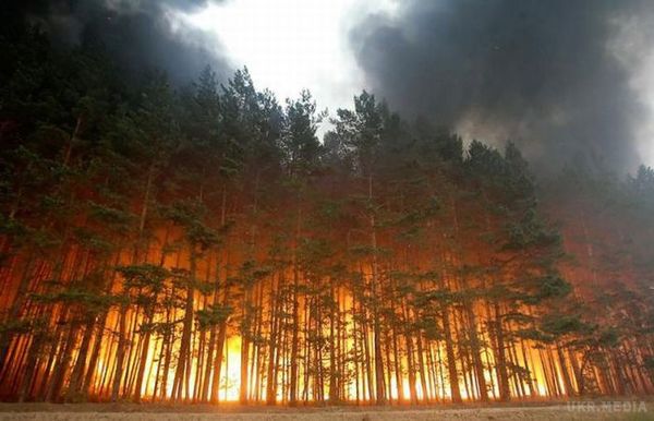 В Україні 10-14 червня очікується надзвичайний рівень пожежної небезпеки. В Україні 10-14 червня очікується надзвичайний рівень пожежної небезпеки. 