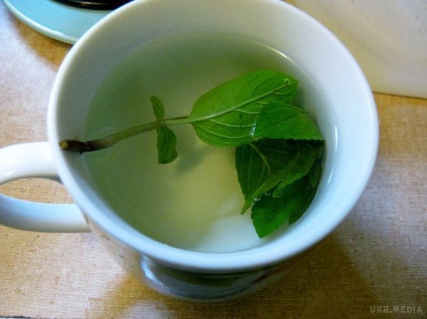 Вчені встановили, що м'ятний чай — не тільки освіжаючий напій, але і засіб для поліпшення пам'яті. М'ятний чай – це не тільки освіжаючий напій, який допоможе вам влаштувати невелику перерву протягом метушливого дня. 