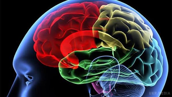 Як менінгіт впливає на мозок?