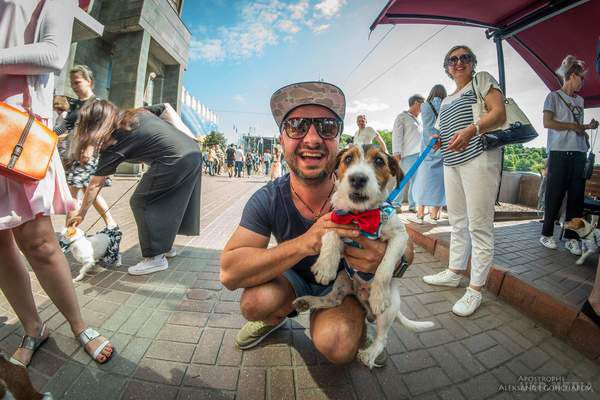 У Києві пройшов парад життєрадісних собак: яскраві фото. Пес по кличці Майло став кращою рекламою цієї породи собак.