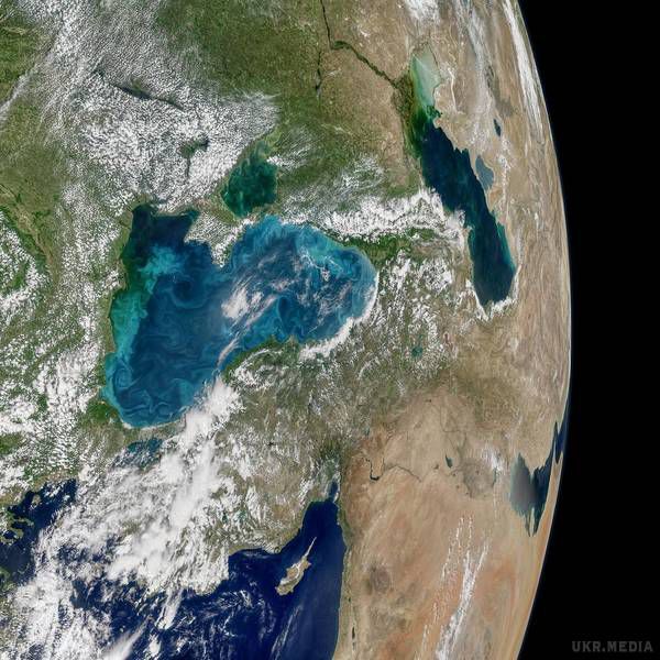 У Чорному морі "розцвіли" бірюзові вихори: NASA показало фото з космосу. NASA опублікувало фотографію Чорного моря, зняту з космосу.