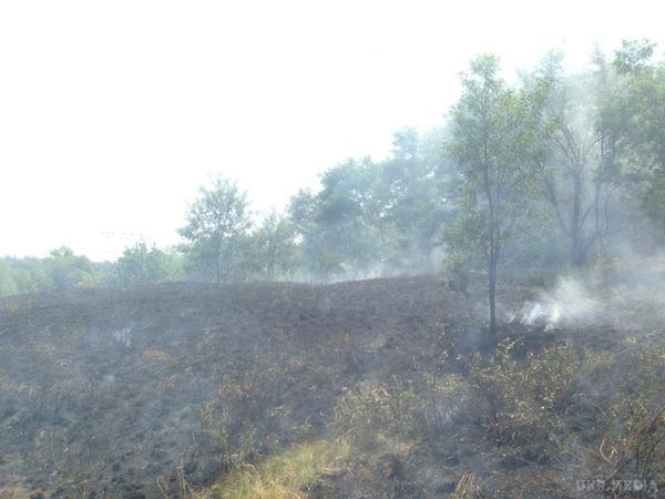 В Україні на пожежах з початку року загинуло 896 осіб, - Держнс. а минулу добу в Україні сталося 187 пожеж.