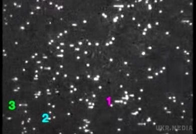 Подвоєння «молекули життя» вперше зняли на відео. Вчені вперше зняли на відео процес реплікації (подвоєння) одиночної ДНК кишкової палички (Escherichia coli).