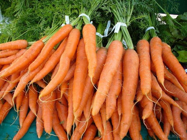 Медики розповіли чи дійсно морква покращує зір. Багато хто вважає, що можна поліпшити зір і навіть навчитися бачити в повній темряві, якщо їсти багато моркви.