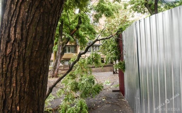 Як 5-хвилинний ураган затопив вулиці Одеси і поламав дерева. 20 червня в Одесі відбувся небувалий ураган зі зливою, який тривав всього 5 хвилин і наробив багато біди.