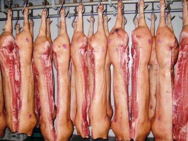 В Україні різко пішли вгору ціни на свинину. Ціни на свинину в Україні щотижня б'ють рекорди, і станом на 16 червня вартість свиней беконних порід живою вагою склала 44-46 грн/кг, що на 10% вище, ніж на кінець травня