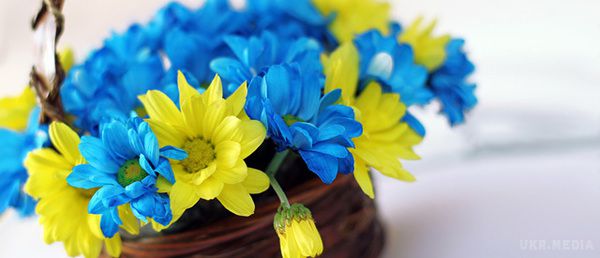 Привітання до Дня Державної служби України. Щиро вітаємо Вас із професійним святом – Днем державної служби України!