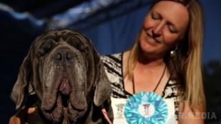 У Каліфорнії обрали найбридкішу собаку світу (фото). Переможиця та її власниця Ширлі Цинтлер отримали приз - 1500 доларів.