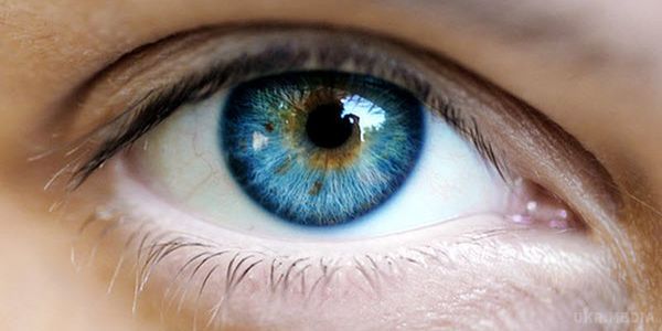 Вченим вдалося створити штучну райдужну оболонку ока. Співробітники Технологічного університету міста Тампер створили унікальну райдужну оболонку ока, яка має здатність реагувати на світло.