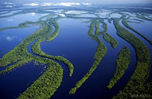 Басейн річки Амазонки може повністю зникнути - вчені. Міжнародна команда дослідників з університету Арізони (США) прийшла до висновку, що басейну річки Амазонки загрожує зникнення.

