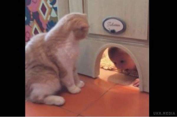 Дитина поліза у двері для кішки, чим це закінчилося? (Відео). Коту не сподобалася така поведінка дитини.