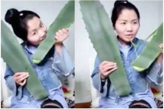 Китаянка з'їла отруйну рослину і оніміла. Відео. Дівчина з'їла отруйна рослина в прямому ефірі в соціальній мережі Facebook.