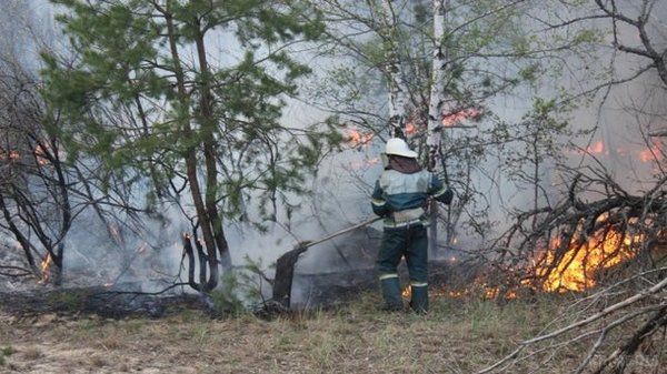 Пожежа на площі 20 га в Чорнобилі гасили більше сотні рятувальників, вертоліт і літаки. Щоб загасити вогонь, п'ять разів скинули по 10 кубічних метрів води.