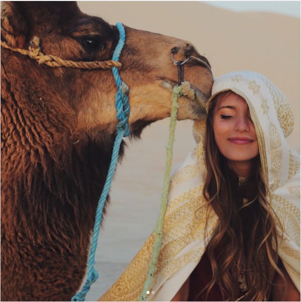 Регіна Тодоренко стала дружиною верблюда. Телеведуча, більш відома з передачі "Орел і Решка" Регіна Тодоренко стала дружиною верблюда. 