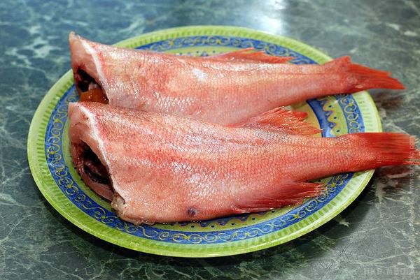 Медики назвали найбільш небезпечну для здоров'я рибу. У цих рибах присутня ртуть та інші небезпечні речовини.