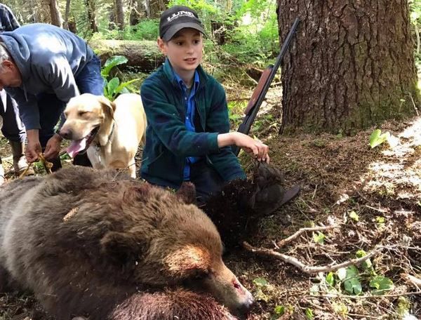 На Алясці одинадцятирічний хлопчик застрелив ведмедя і врятував рідню. Дитина гуляла по лісу в компанії дядька, дідуся і двоюрідного брата, коли хижак напав на одного з дорослих