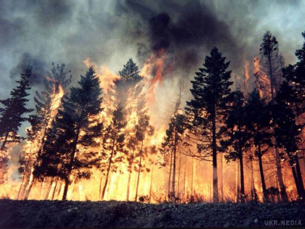 У NASA назвали пожежі в Сибірі наймасштабнішими за 10 тисяч років. Фахівці впевнені, що надзвичайно швидкі темпи поширення полум'я здатні прискорити глобальне потепління.