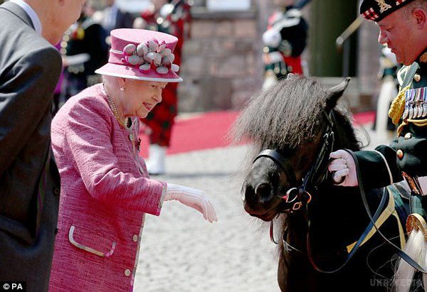 Поні нечемно повівся з королевою Великобританії. Королева Великобританії разом із чоловіком, герцогом Единбурзьким, цілий тиждень відвідують знакові місця Шотландії