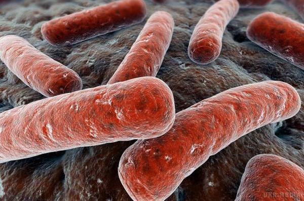 Морські губки допомогли вченим знайти ліки від сплячого туберкульозу. Дослідники відкрили речовини, які пригнічують розвиток збудників хвороби.