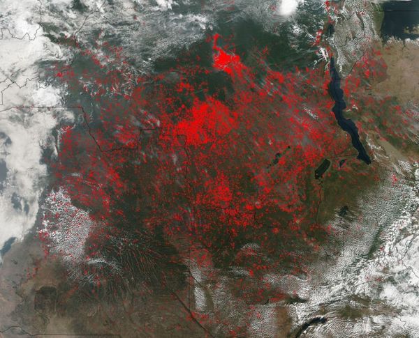 Пожежі в центральній Африці з супутника. Це зображення було зроблено з супутника Suomi NPP за допомогою радіометра VIRS (Visible Infrared Imaging Radiometer Suite) 27 червня 2017 року. 