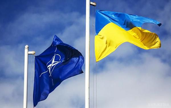 Закон про курс України на вступ в НАТО набуде чинності 9 липня. Офіційна газета Верховної Ради "Голос України" 8 липня опублікувала цей закон.