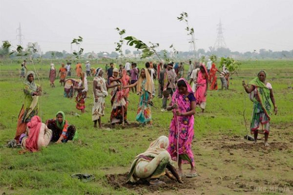 Оце так! В Індії посадили 66 мільйонів дерев за 12 годин. Індія, яка займає у світі 3 місце за обсягом викидів парникових газів, в рамках Паризької угоди по клімату зобов'язалася збільшити площу зелених насаджень в країні до 2030 року на 5 млн гектарів.