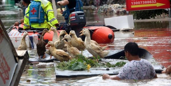 Потужна стихія в Центральному Китаї. У провінції Хунань /Центральний Китай/ в результаті тривалих злив 83 людини загинули або пропали без вісті. 