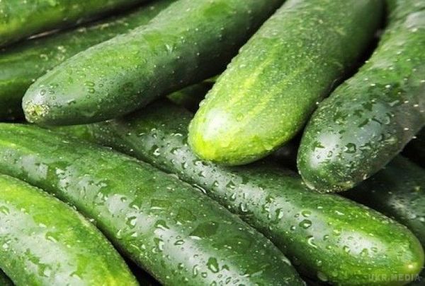 їжте огірки як можна частіше - цей овоч усуває токсини і не тільки