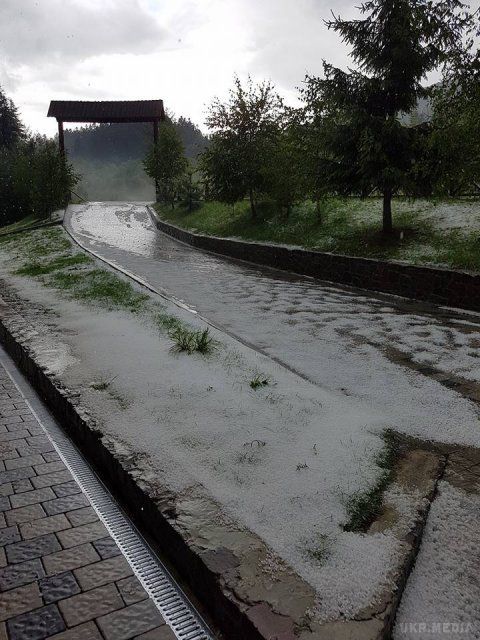 На Закарпатті посеред літа випав сніг. Фотофакт. Спекотне літо в Україні змінилося не прохолодне, а місцями навіть сніжне!
