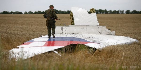 У США виступили з заявою про розслідування катастрофи MH17. Заява США о необхідності забезпечити притягнення відповідальних осіб до правосуддя
