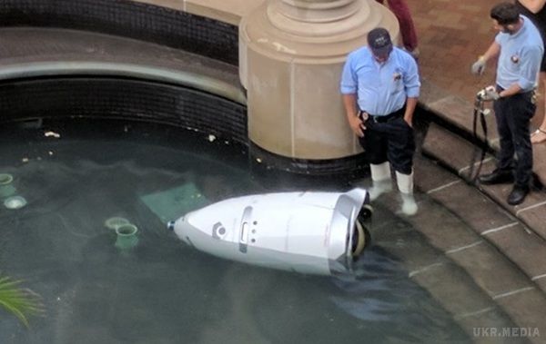 У США робот-поліцейський «втопився» у фонтані. Машина K5 виконувала функції патрульного в житловому комплексі у Вашингтон-Харбор.