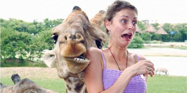  Любителі селфі: Найбільш курйозні знімки з тваринами і не тільки. Ці забавні люди! Що тільки не зроблять, щоб зобразити на селфі щось. 