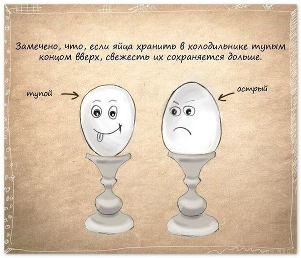 Якщо яйця зберігати в холодильнику тупим кінцем вгору. Їх свіжість зберігається довше.