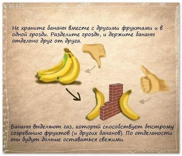 Якщо яйця зберігати в холодильнику тупим кінцем вгору. Їх свіжість зберігається довше.