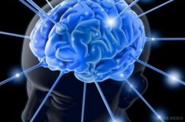 Топ-25. Вчені розповіли про ситуаціях, які необоротно впливають на мозок. Вчені розповіли про ситуаціях, які необоротно впливають на старіння мозку.