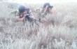 Прикордонники проводять навчання зі стрільбами поблизу Криму. Навчання військових проводиться для підвищення майстерності, зокрема, у виконанні стрільб з різних видів зброї.